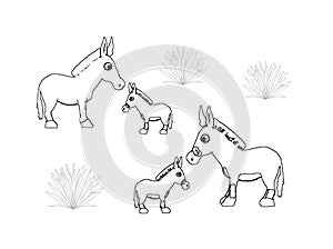 Donkeys with babies, colouring book page uncolored