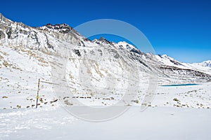 Donkeys carrying essential supplies up the snowy mountains in the Larke Pass of Manaslu Circuit Trek in the Himalayas, Nepal