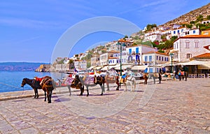 Donkeys at Hydra island Saronic Gulf Greece