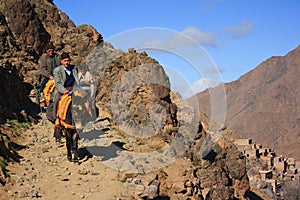 Donkeys on path in Altas Mountains, Morocco