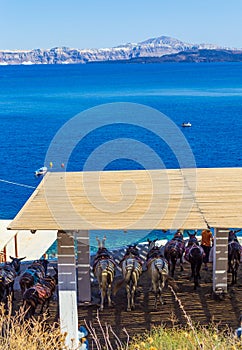 Donkeys Shelter by Thirasia island and Santorini skyline Greece