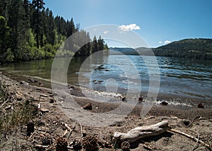 Donner Lake shoreline