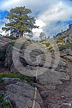 Donner Pass