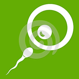 Donor sperm icon green