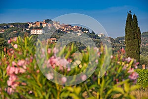 Donoratico, Castagneto Carducci, Livorno - Tuscany photo