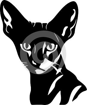 Donskoy Don Sphynx Cat Black Silhouette Generative Ai