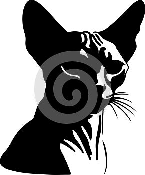 Donskoy Don Sphynx Cat Black Silhouette Generative Ai