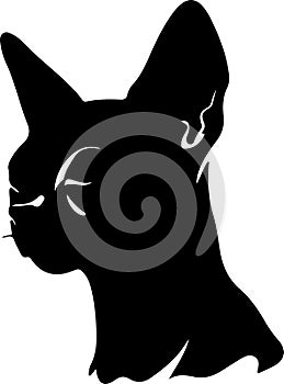 Donskoy Don Sphynx Cat Black Silhouette Generative Ai