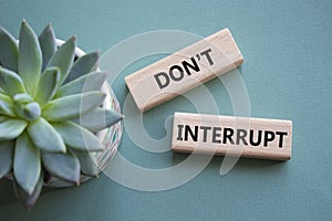 Dont interrupt symbol. Concept word Dont interrupt on wooden blocks. Beautiful grey green background with succulent plant. photo