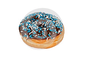 Donut with Chocolate Icing and Sprinkles