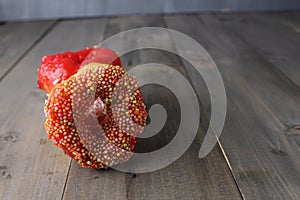 Donut in multicolored sprinkles on gray background with space for copyspace text. Donut Day Sweet Food Sugar Unhealthy Carbs