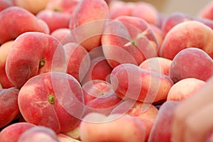 Donut Peaches, Prunus persica