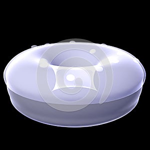 Donut. X-Ray render