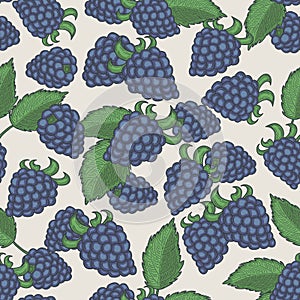 Doodle blackberries seamless pattern