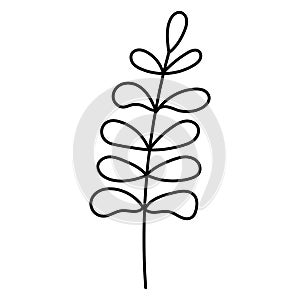 Doodle botanical hand drawn decorative leaf illustration