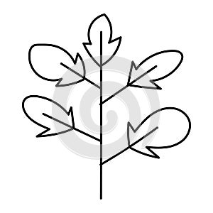 Doodle botanical hand drawn decorative leaf illustration