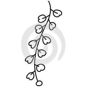 Doodle botanical hand drawn decorative leaf illustration