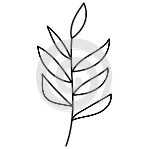Doodle botanical hand drawn decorative leaf illustration