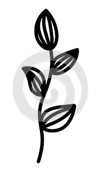 Doodle branch with leaves decorative element. Botanical vector illustration design, isolated hand drawn black element