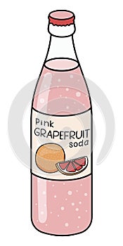 Doodle cartoon style pink grapefruit soda. Paloma cocktail main ingredient, refreshing soft drink. For card, stickers