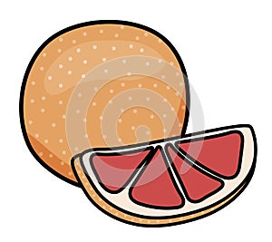 Doodle cartoon whole and slice of grapefruit fruit. For menu, farmers market design, cocktail making process