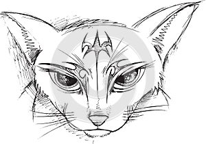 Doodle Cat Face Vector