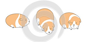 Doodle collection of several sketch guinea pigs isolated on white background