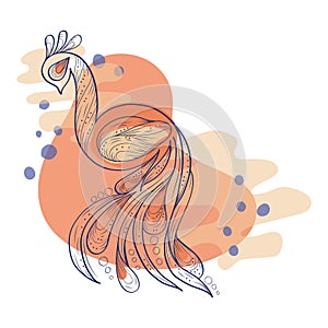 Doodle compositon in blue and orange with peacock for invitation