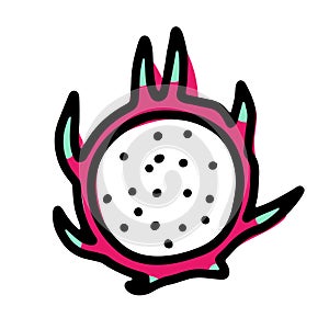 Doodle exotic dragon fruit. Tropical Fresh pitahaya