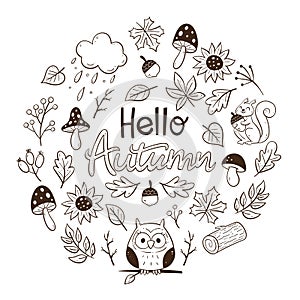 Doodle floral autumn cute background