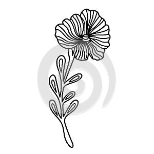 Doodle floral design element. Vector illustration