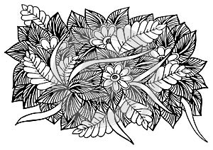 Doodle floral pattern in black and white. Page for coloring book