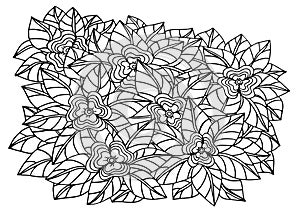 Doodle floral pattern in black and white. Page for coloring book