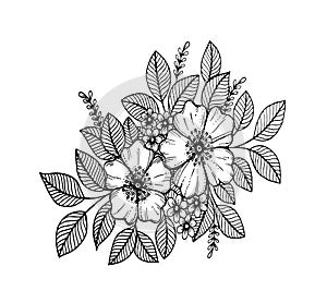 Doodle floral pattern in black and white. Page for coloring book: very interesting and relaxing job for children and adults