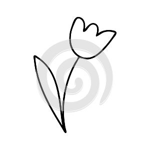 Doodle flowers contour line drawing.Black and white image.Simple flower isolated on a white background.Vector
