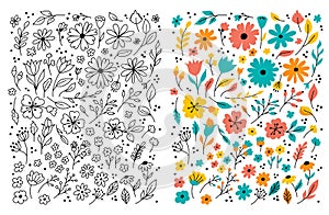 Doodle flowers Hand drawn floral set. Children cartoon drawing. Vector illustration