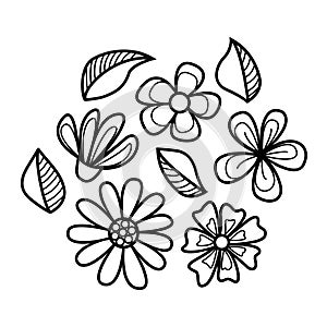 Doodle flowers set