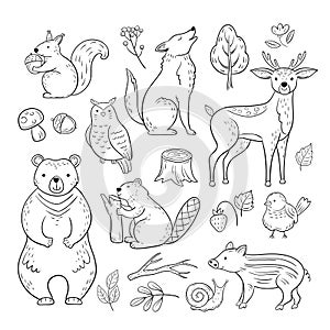 Doodle forest animals. Woodland cute baby animal squirrel wolf owl bear deer snail childrens sketch vector hand drawn