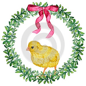 Doodle green foliage round frame with a pink bow and chick. Hand-drawn watercolor illustration isolated on white