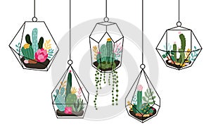 Doodle hanging terrarium. Succulents and cactuses glass florariums, tropical plants interior geometric terrarium