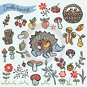 Doodle hedgehog,berries,mushrooms,wood,flowers