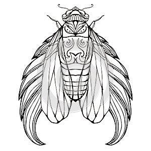 Doodle illustration of cicadas with wings and boho pattern