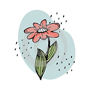 Doodle illustration of a cute red flower. Floristics, gardening photo