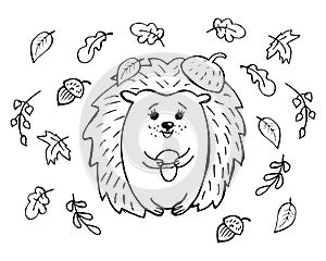 doodle illustration, hand drawn cheerful hedgehog with mushroom in hands, acorns and bright autumn leaves