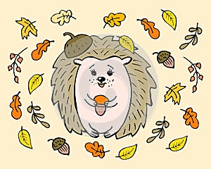 doodle illustration, hand drawn cheerful hedgehog with mushroom in hands, acorns and bright autumn leaves