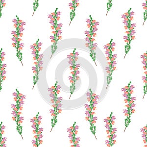 Doodle purple and pink heather flowers or Calluna seamless pattern background. Hand drawn romantic floral pattern background.