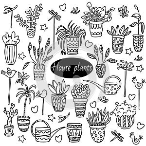 Doodle set with  potted plants, watering cans, decorative figure sticks