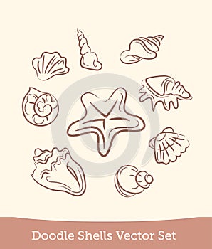 Doodle shell set isolated on white background. Vector