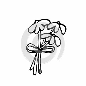 Doodle simple line bouquet. Vector flowers sketch