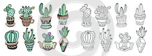 doodle sketch drawing flat style of house plants - flowerpots with cacti